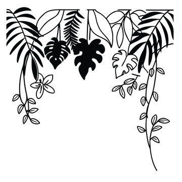 vibrant jungle plants composition with flat lay