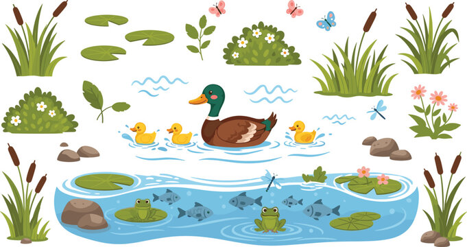 Duck Family Swimming in Pond with Frogs, Fish, and Water Plants in a Fun Vector Set for Kids Illustrations