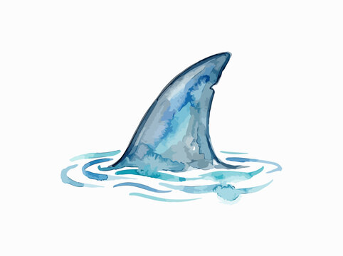 Watercolor shark fin above water surface illustration