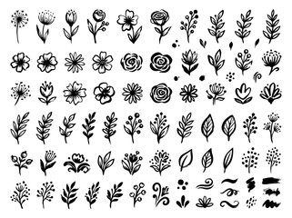 Fototapeta premium Large collection of hand drawn floral elements in black ink