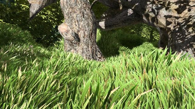 Green Grass Field with Trees in Natural Park Environment Outdoor Background