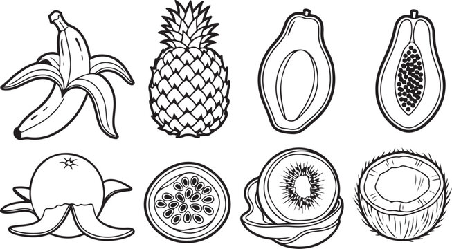 Antique decorative objects and art prints in black and white Vector