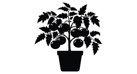 A striking black silhouette depicts a potted tomato plant with ripe fruit and lush foliage creating a bold image high quality © rabbivay