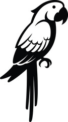 Silhouette wild tropical parrot bird standing black white vector illustration © FB Creative