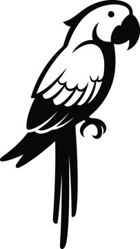 Silhouette wild tropical parrot bird standing black white vector illustration