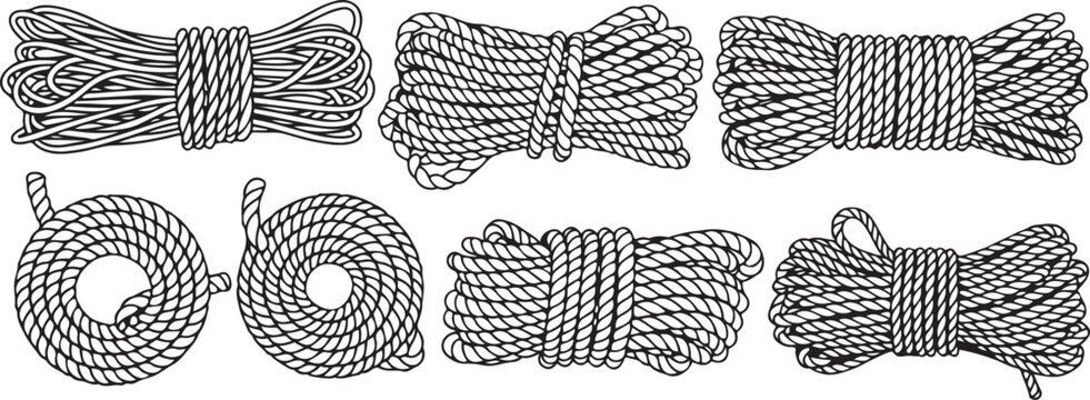 Cross-sectional views of various mechanical spring designs Vector