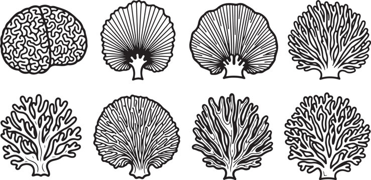 Various species of mushrooms with distinct cap patterns and gills Vector
