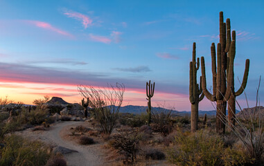 Dramatic Sunset Skies And Views Along Desert Hiking Trail In Arizona