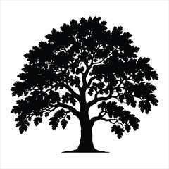 A large tree with a thick trunk and many branches