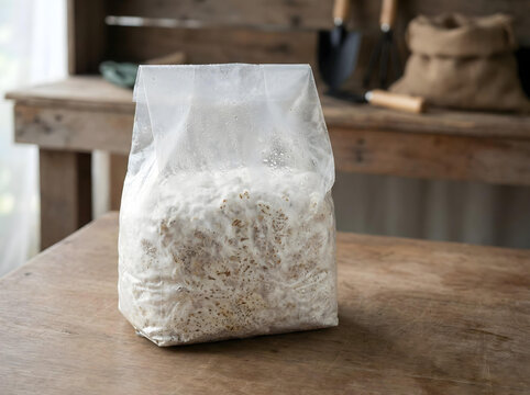 Fully Colonized Mushroom Grow Bag With Mycelium