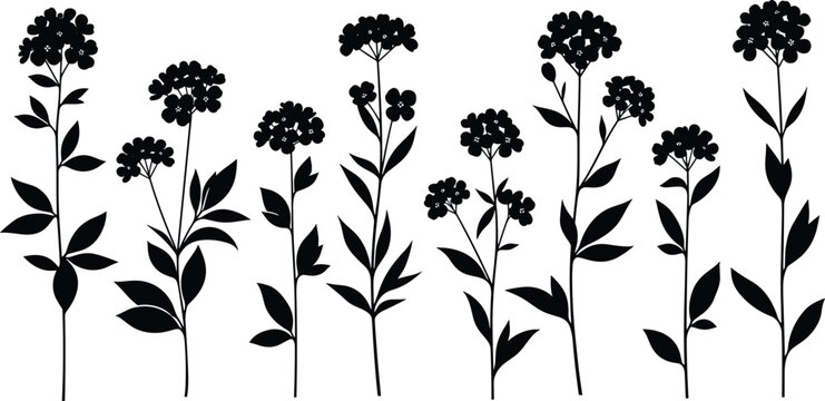 Flowering plant silhouettes, botanical illustration, nature design, leaf cluster art, floral vector, eco graphics, plant morphology, minimalist botanical artwork