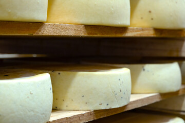 Fototapeta premium Macro of ripened cheese wheels, visible aged rind, organic cheese farm, premium variety, seasonal maturing, traditional craft dairy production.