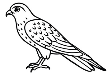 Fototapeta premium kestrel bird silhouette line art vector illustration with a white background