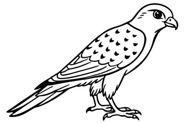 Fototapeta premium kestrel bird silhouette line art vector illustration with a white background