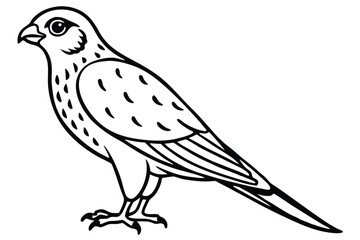 Obraz premium kestrel bird silhouette line art vector illustration with a white background