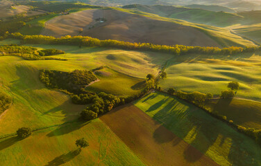 Fototapeta premium Rolling hills of Tuscany displaying farmland textures at sunrise, San Quirico d'Orcia, Italy.