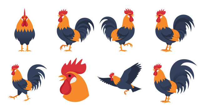 Collection of cartoon roosters in various poses and actions, isolated on white