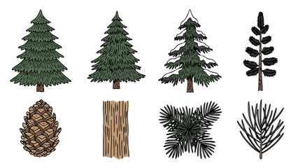 Fototapeta premium Collection of hand-drawn evergreen trees, pinecones, bark, and needles