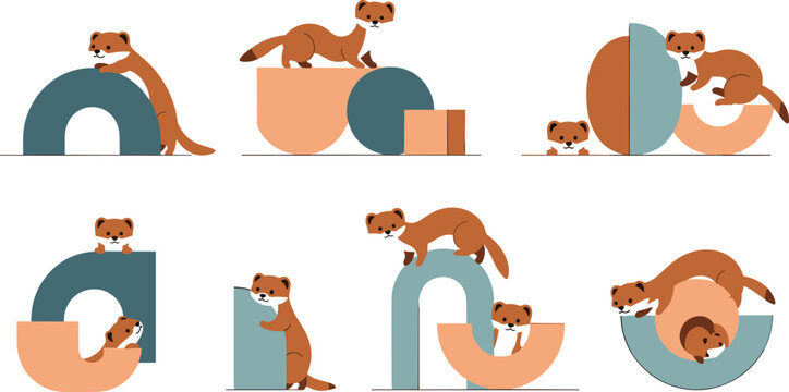 Flat vector illustration set featuring cute weasels and ferrets playing on colorful geometric shapes like arches circles and semicircles for nursery or educational design