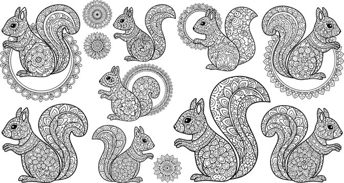 Intricate squirrel mandala illustration collection with ornate patterns, detailed animal line art, decorative coloring page vector set