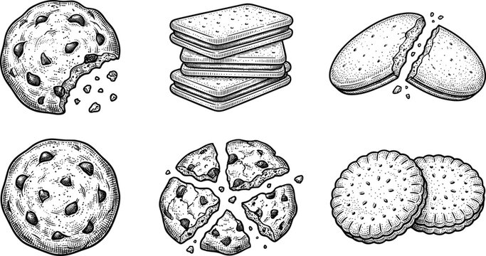 Cookies Biscuit Sketch Vector Set. Cookies biscuit vector set with chocolate chip crackers and sandwich biscuits isolated detailed hand drawn food illustration