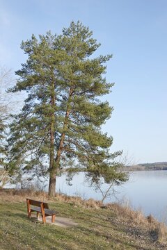 Kleiner Brombachsee im Fr&uuml;hjahr - Gunzenhausen
