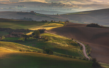 Fototapeta premium Tuscan rolling hills with winding road and farmhouses at sunrise in San Quirico d'Orcia, Italy.