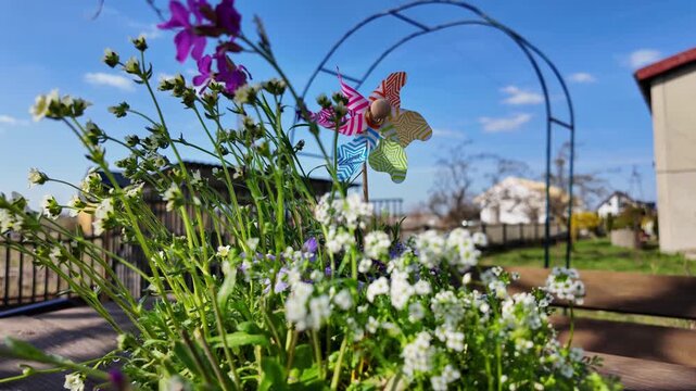 Spring flowers in garden with colorful pinwheel on wooden table, white alyssum and purple blossoms in sunlight, rural backyard idyll, garden decorations and blue sky background, seasonal botanical sce