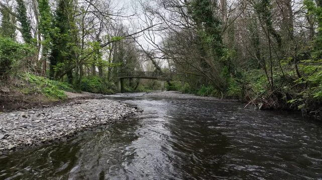 river dodder at bushy park, dublin, ireland