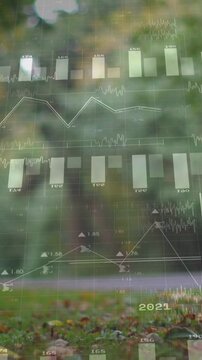 Vertical video: On play forest showing translucent finance bars charting trends, year labels fading