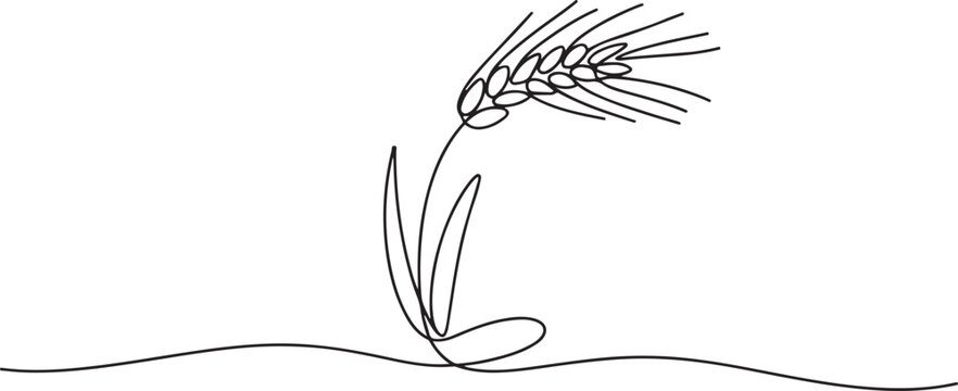 Barley continuous one line drawing outline line art illustration. one line Icon drawing