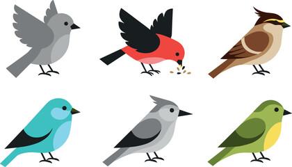 Obraz premium Simple Cartoon Bird Collection Featuring Sparrows Robins and Colorful Songbirds in Flat Minimal Style Isolated Vector Set for Nature Design