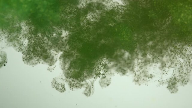 Green and yellow paint cloud spreading in water on a white background. Premium marketing concept for overlay effects, creative branding, banner and advertising layout design, ecology, beauty, and