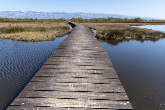 Marine lagoon with medicinal peloid mud therapy at Queen's Beach, medicinal mud, Nin, Croatia, Dalmatia