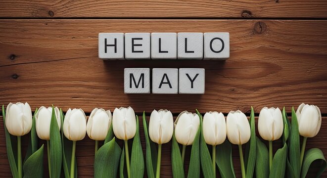Hello may, white tulips and wooden blocks spell hello may on a rustic wooden table.