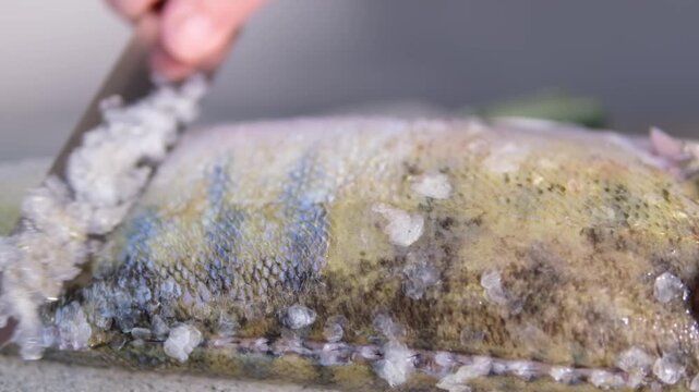 Slow motion close-up of man cleaning fresh zander fish on rustic table. Sharp knife removing scales in slowmo. High angle shot of professional seafood preparation, chef hands, gourmet cooking.