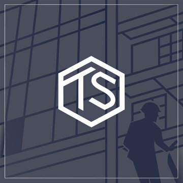Geometric hexagon logo with ts letters