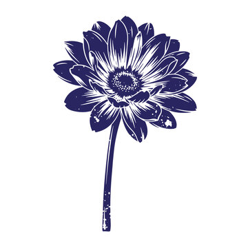 Dark blue silhouette of a single gerbera daisy flower with a distressed ink texture and white negative space details isolated on a white background