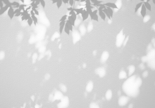 Abstract shadow overlay effect of dappled tree foliage and bokeh light, transparent.