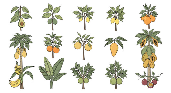A diverse collection of illustrated fruit trees showcasing various tropical and common fruits including avocado, lemon, orange, papaya, banana, and apple.
