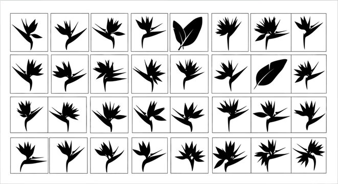Collection of black silhouette bird of paradise flowers and leaves in various poses and angles on a white background graphic design elements for tropical themes and nature concepts