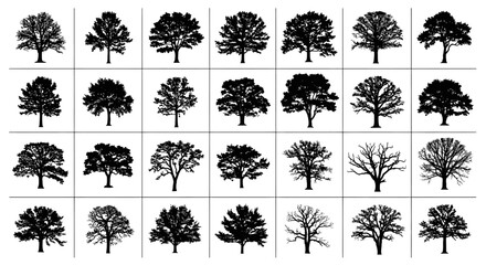Fototapeta premium Collection of diverse tree silhouettes in various stages of growth and seasons comprising deciduous and bare branches ideal for graphic design and nature concepts