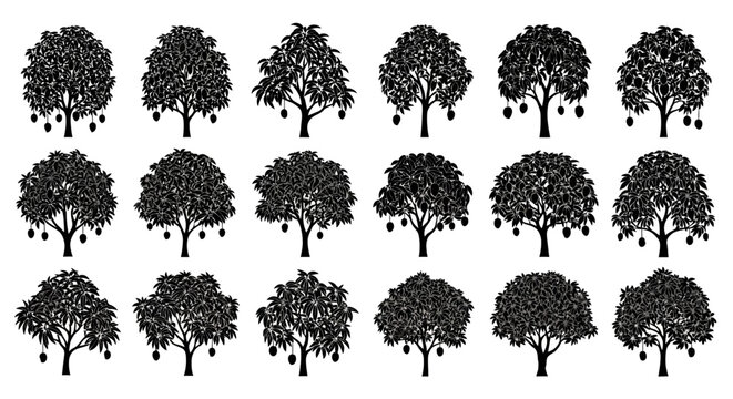 Collection of silhouetted mango trees with ripe fruit isolated on white background various shapes and sizes illustrating growth and nature's bounty perfect for design elements