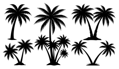 Obraz premium Palm Tree Silhouette Bundle Tropical Beach Trees Vector Collection