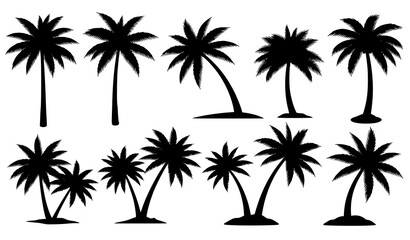 Obraz premium Palm Tree Silhouette Vector Set Tropical Beach Trees Collection