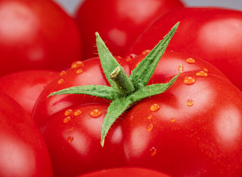 Macro close up photo of ripe tomatoes with water drops.  Organic tomato vegetable perfect for healthy meals.