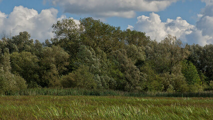 Obraz premium Clouds over a autumn marsh landscape in Bourgoyen nature reserve, Ghent, Flanders, Belgium