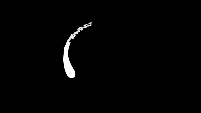 Dynamic white water splash animation rising with liquid motion elements, hand drawn 2D splash effects on transparent alpha black background, seamless 4K footage for transitions and video compositing