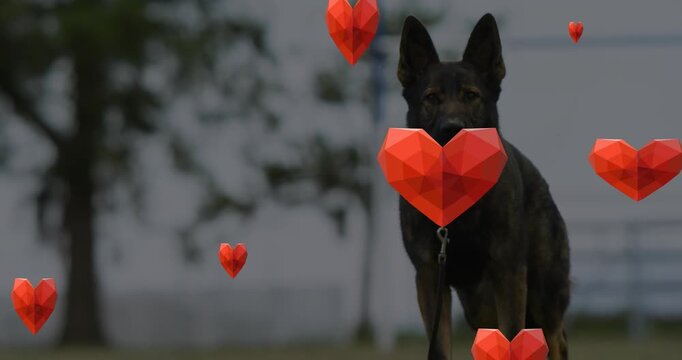 Animation of road sign with copy space over glowing spots and snow globe