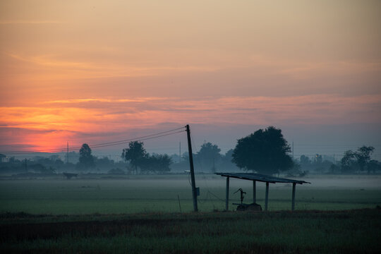 "Serene rural sunrise with misty fields and rustic charm &mdash; a tranquil countryside morning scene."